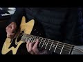 Acoustic Guitar Fingerstyle - Arbutus