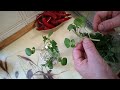 Cultivating Watercress on a Very Small Scale