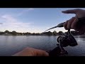 2 reds and underwater footage!