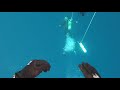 Diving the N.C. Megalodon ledge!!!!