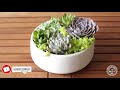 Simple Ways to Make Beautiful Succulent Arrangements for Beginners!