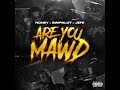 Roney - Are You Mawd Ft. Swipalot x El Jefe (Official Audio)