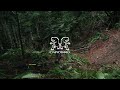 Progress || Bellingham's gnarliest trails on a hardtail