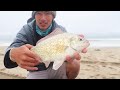 Surf Fishing the California Coast (Unexpected Catch x2)