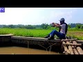 Curved rod fishing spot for hyacinth fish on the edge of the rice fields