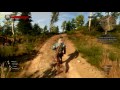 The Witcher 3 with Hairworks on [i7 2600K/R9 390, 15.11 Crimson]