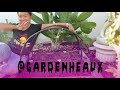 Cheap & Easy DIY Garden Hoops Tutorial