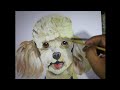 How to paint a dog, poodle, oil painting on canvas, demo, pet portrait