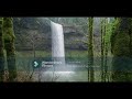 5 Minutes of Amazing Nature With Calm Music