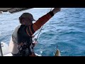 Port Douglas reef fishing double hook up @AKULASportfishing-PortDo-pq7re