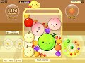 Playing watermelon go! I got a melon! By mooncake’s sister