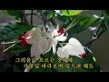 이별이 주고간 슬픔 - 이현, 하모니카연주