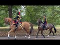 SOMETIMES THE UNEXPECTED HAPPENS | ROYAL HORSE ARTILLERY