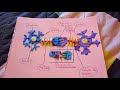 Estructura Neuronal Ignacio Salinas Psicobiología S1