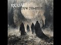 Shadow Dominion