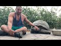 Pet tortoise Godzilla at 15 yrs old 265lbs