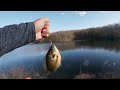 Early Spring Lake Fishing