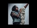 [FREE] Gunna x Young Thug Type Beat 2024 - 