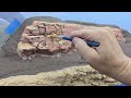 Layout Update. Painting Rocks with Craft Acrylics.