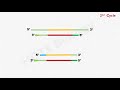 Basic Concepts 01 - Polymerase Chain Reaction (PCR)