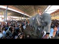 ഗുരുവായൂർ ആനയോട്ടം | Guruvayur Elephant Race 2023 | Guruvayur Anayottam | Guruvayur Utsavam