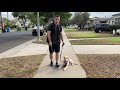 Say Goodbye to Leash Pulling: How to Train Any Dog to Walk Nicely