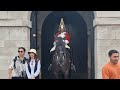 Don't touch the reins she keeps coming back #horseguardsparade