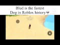 Fastest dog in Roblox history💀 #roblox #Funny #Memes #Dog