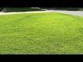 Zoysia grass update as the fall begins