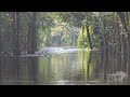 08-09-2024 Effingham County, GA - Flooding Inundates Neighborhoods - Okeechee River Flooding