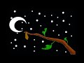 Short animation - Caterpillar to butterfly