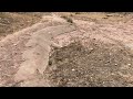 Dinosaur footprints in Oklahoma