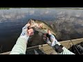 EPIC Afternoon Topwater Bass Fishing - How To Rig A ZOOM SPEEDWORM