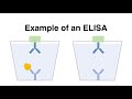 ELISA (Enzyme-linked Immunosorbent Assay)