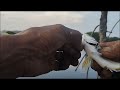 mancing di bekas tambak wonokerto pekalongan banyak streknya gais /youtube palno dieng angler