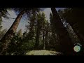 The most realistic forests in gaming right now!