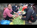 Harvesting Green Bean Garden goes to the market sell | Lý Thị Ca
