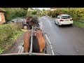 A Horse Scared of Manholes and Puddles - Flash