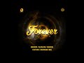 Armzhouse Records – Forever Riddim Mix  2017 ORIJAHNALVIBEZ