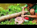 Orphan Boy. Fishing forGiant Carp in the Lagoon