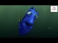 Learn Animals with 'Finding Nemo' | 06 | Wildlife Adventure | Storyline