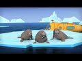 Octonauts - The Walrus Pups | Cartoons for Kids | Underwater Sea Education