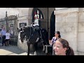 HE DID THIS!! Man DELIBERATELY PROVOKES The Horse and Guard, Armed Officer INTERVENE!!