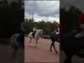 Guard Mounting outside Buckingham Palace