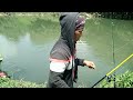 mancing ikan keli monster banjir strike || umpan jitu galatama lele liar || senar pedot senar gapuk