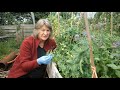 What to Sow in August | Easy to Grow Food | Self-sufficient Vegetable Garden.