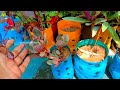 Propagating & Multiplying 50 Type Of Plants Separating Babies By Division Method || Must watch This.