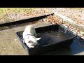 Nora discovers the kiddie pool