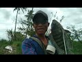 MASER IKAN Di Dua Spot Berbeda Hasilnya Lumayan Tidak Mengecewakan @nivalfishing