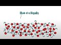 14. ¿Por qué el hielo flota en el agua?